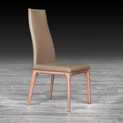 luca stylish dining chair