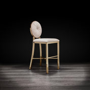 regina tgss beige stylish 1 counter stool