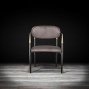 roubi chg taupe modern 1 dining chair