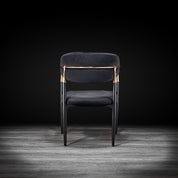 roubi rgss black modern 1 dining chair