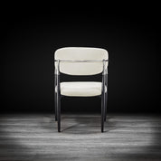 roubi ss beige modern 2 dining chair