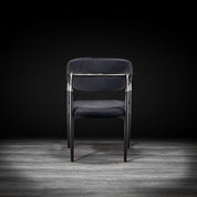 roubi ss black modern 2 dining chair